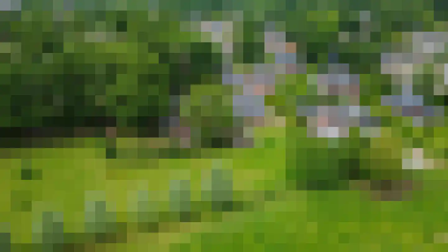 Knalhutteweg 255 Enschede thumbnail 4