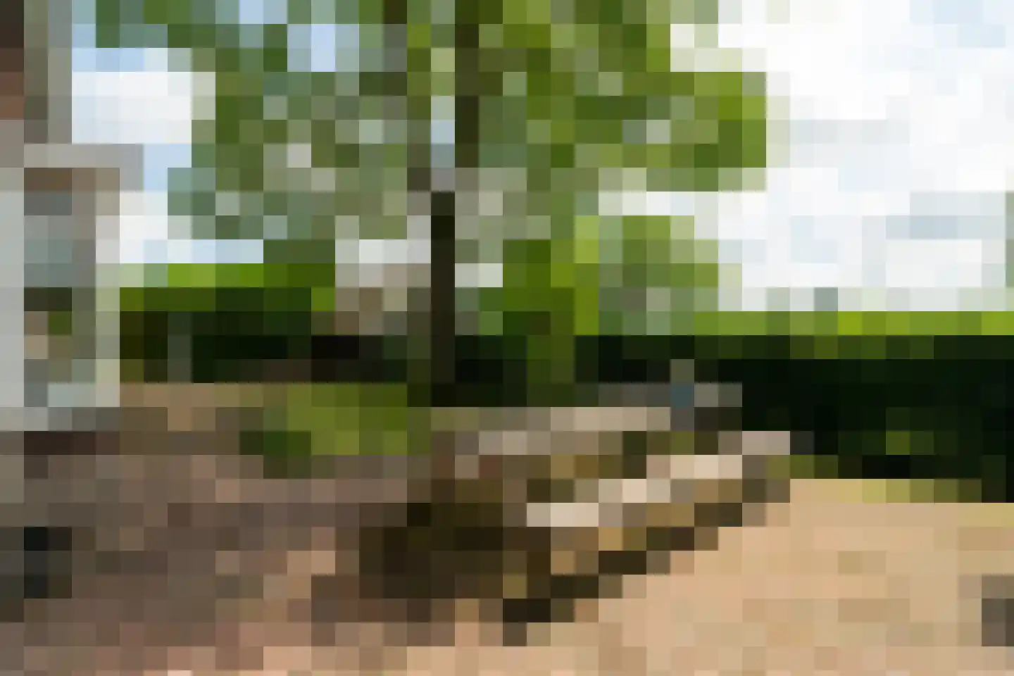 Knalhutteweg 255 Enschede thumbnail 46