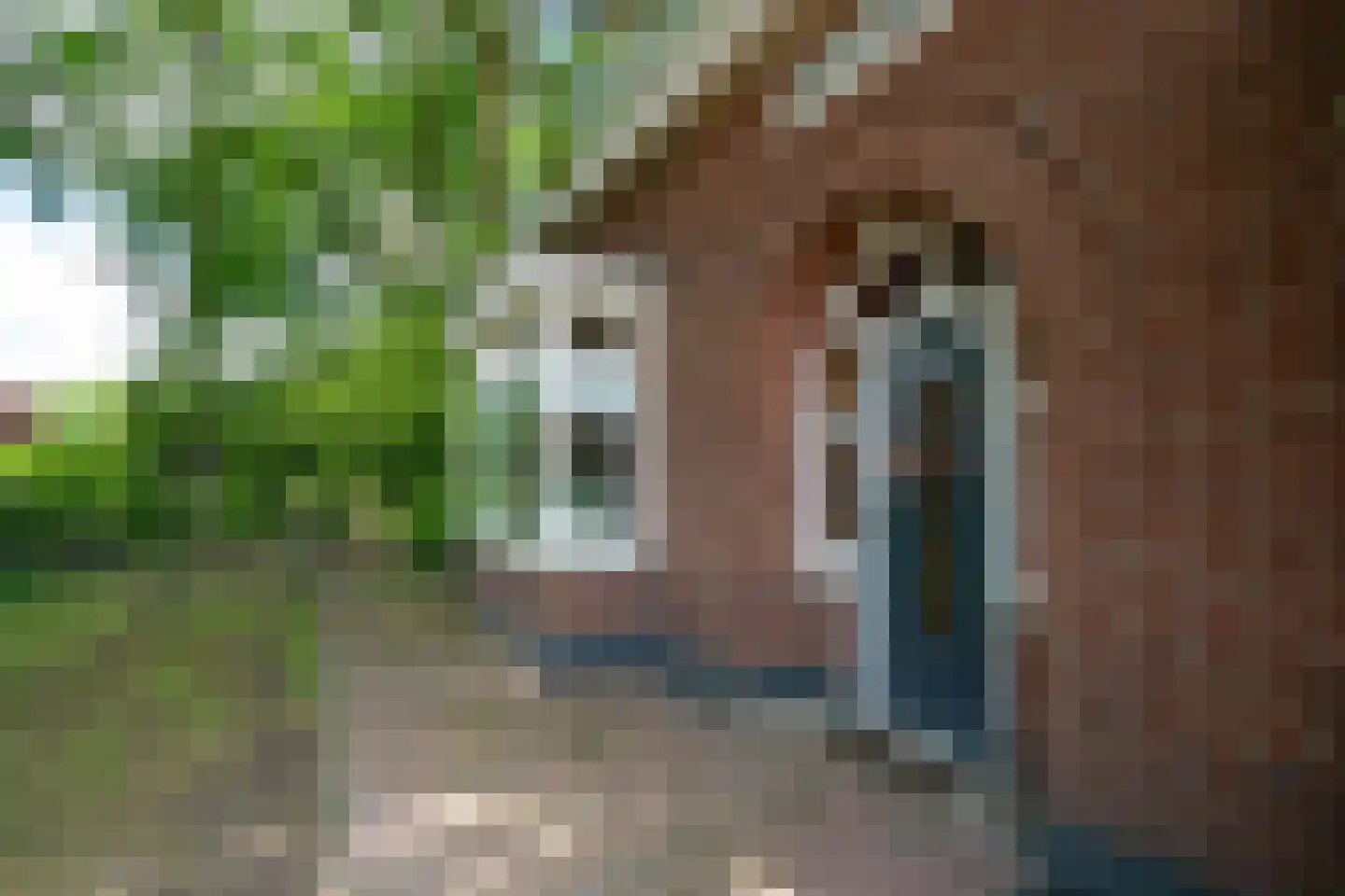 Knalhutteweg 255 Enschede thumbnail 55