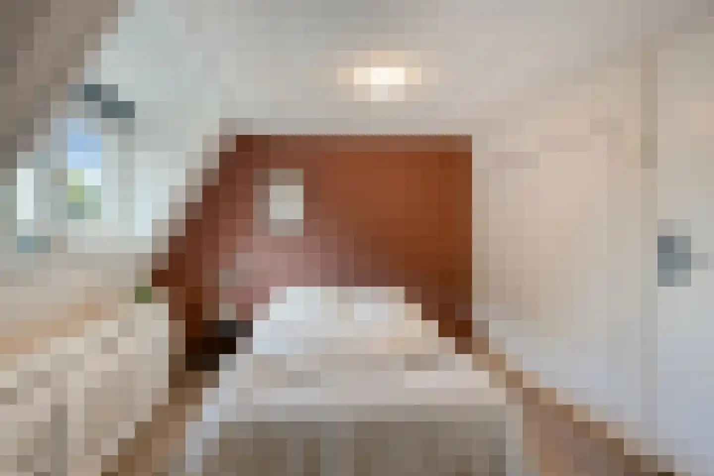 Knapenhoek 5 Sint-Oedenrode thumbnail 7