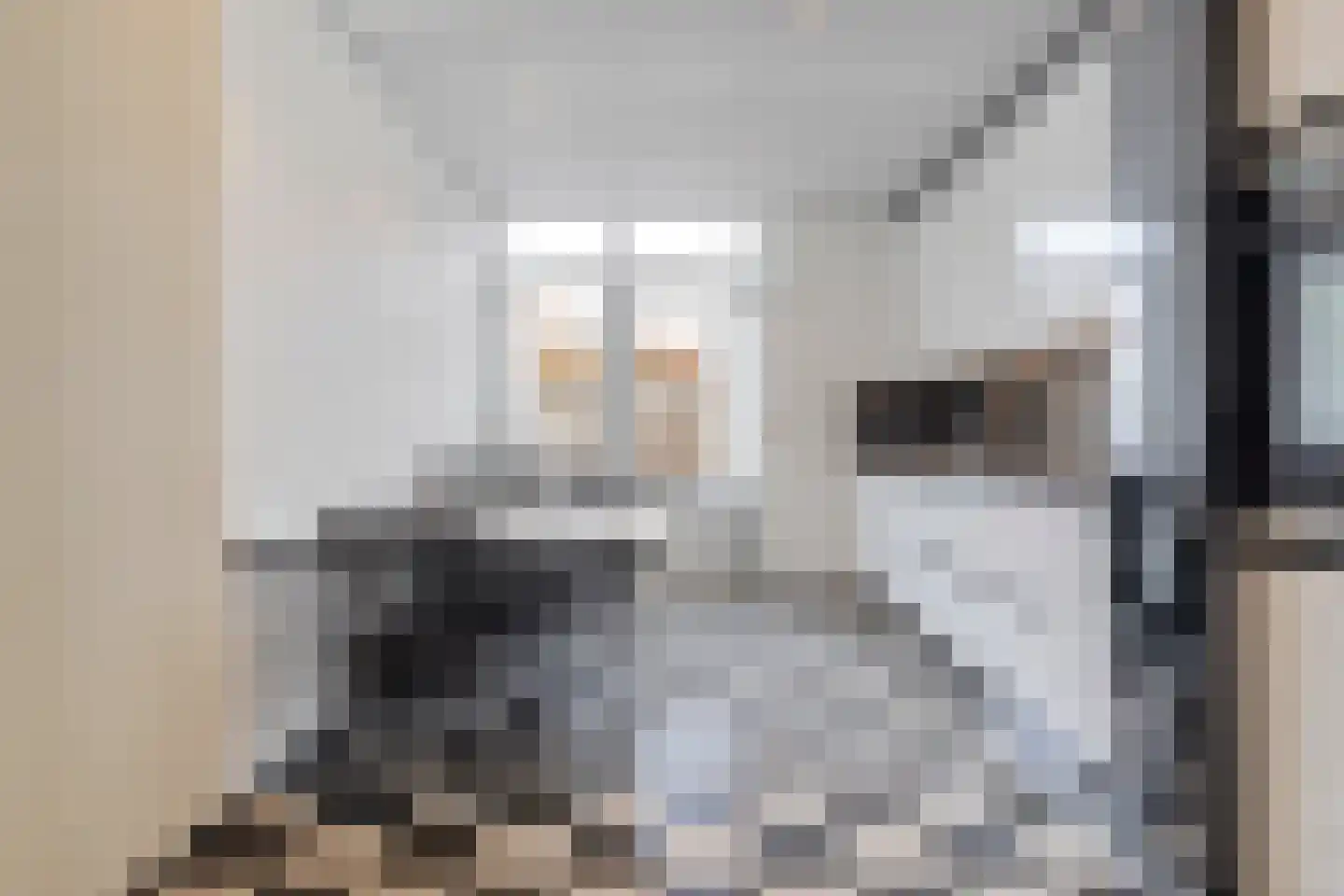 Knapenstraat 35 Geleen thumbnail 13