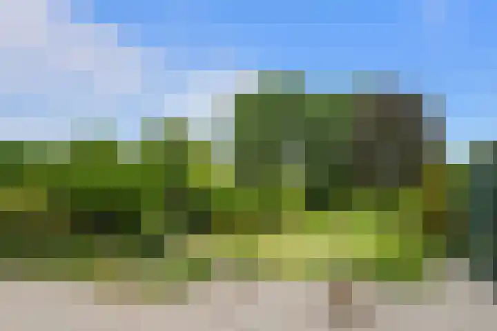 Knapersven 1 Mariahout thumbnail 23