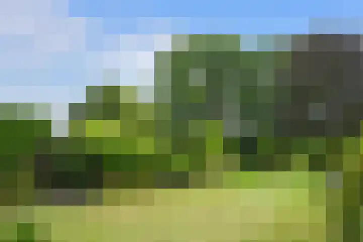 Knapersven 1 Mariahout thumbnail 25