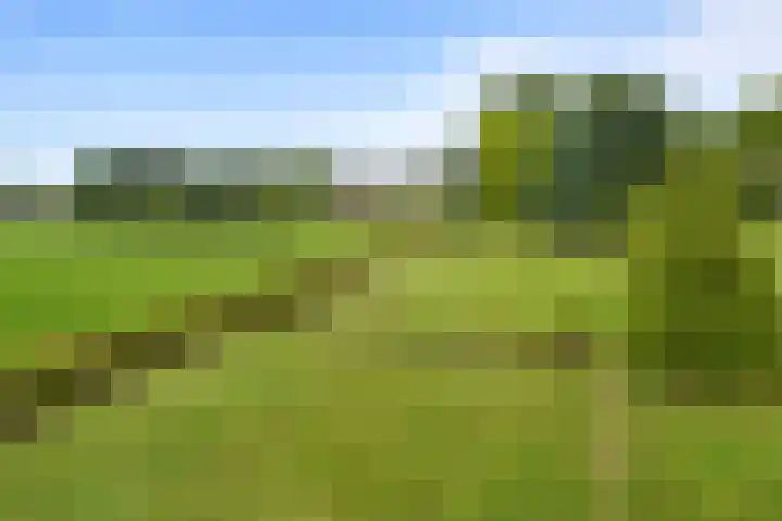 Knapersven 1 Mariahout thumbnail 27
