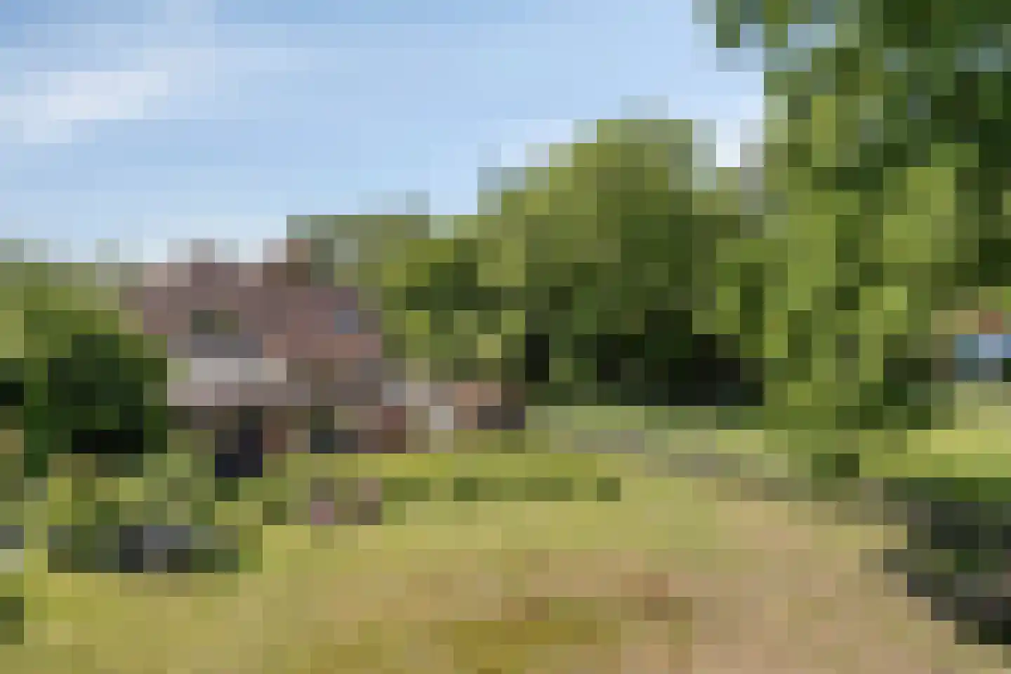 Knapheidepad 2 c Groesbeek thumbnail 4
