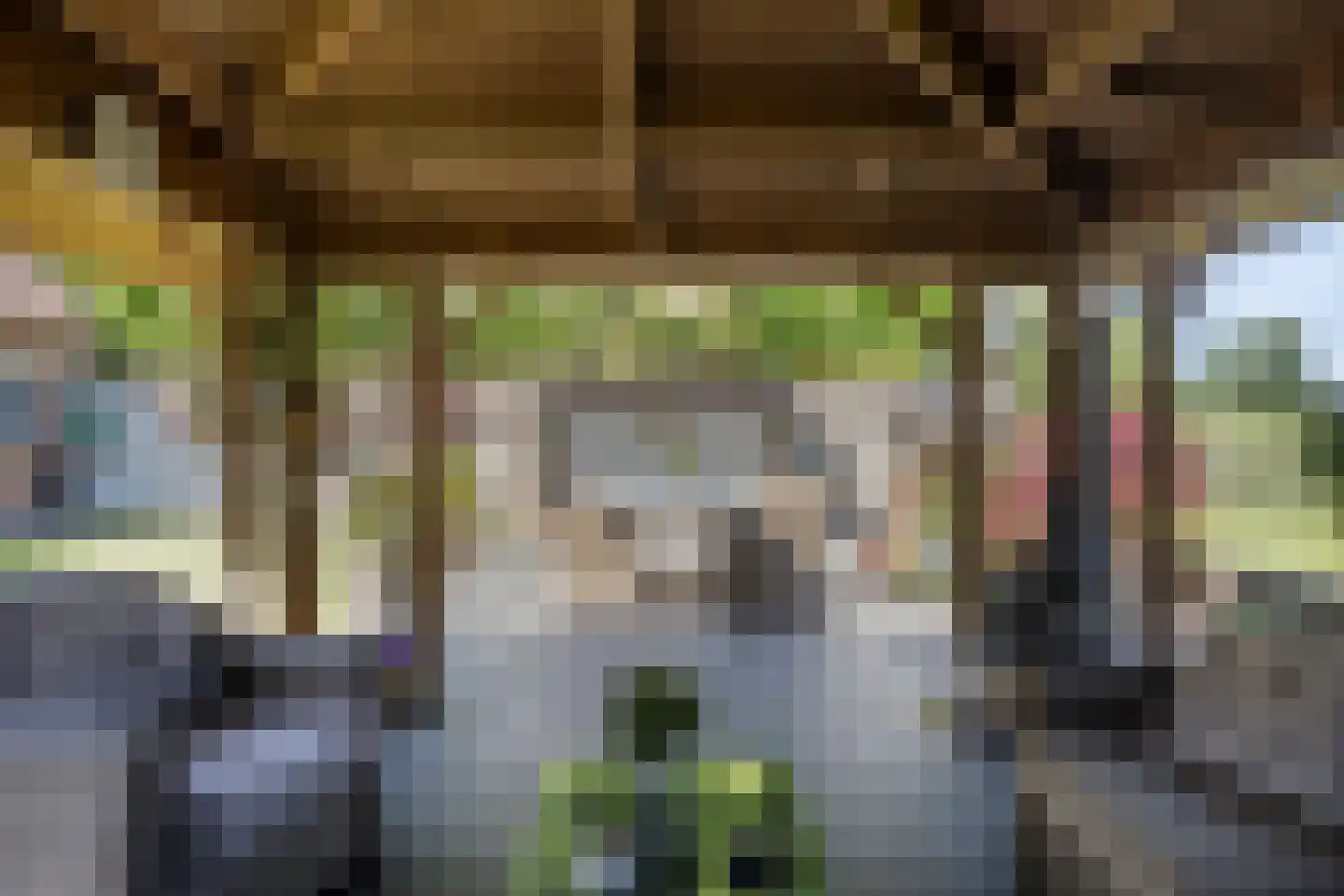 Knapheidepad 2 c Groesbeek thumbnail 49