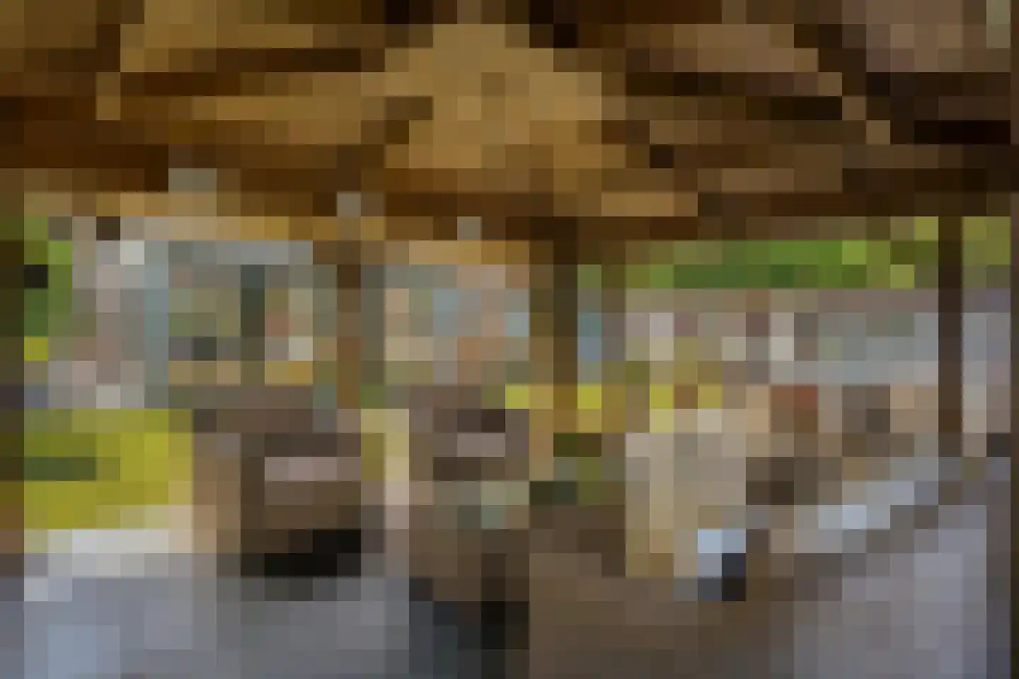 Knapheidepad 2 c Groesbeek thumbnail 51