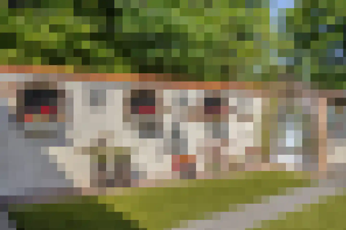 Knapheidepad 2 c Groesbeek thumbnail 56