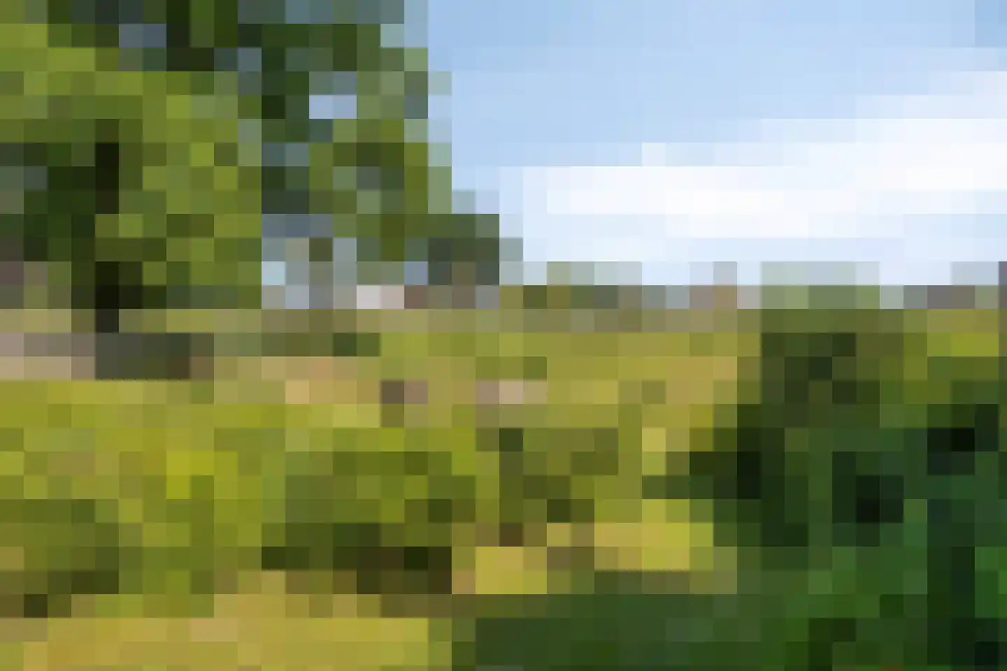 Knapheidepad 2 c Groesbeek thumbnail 59