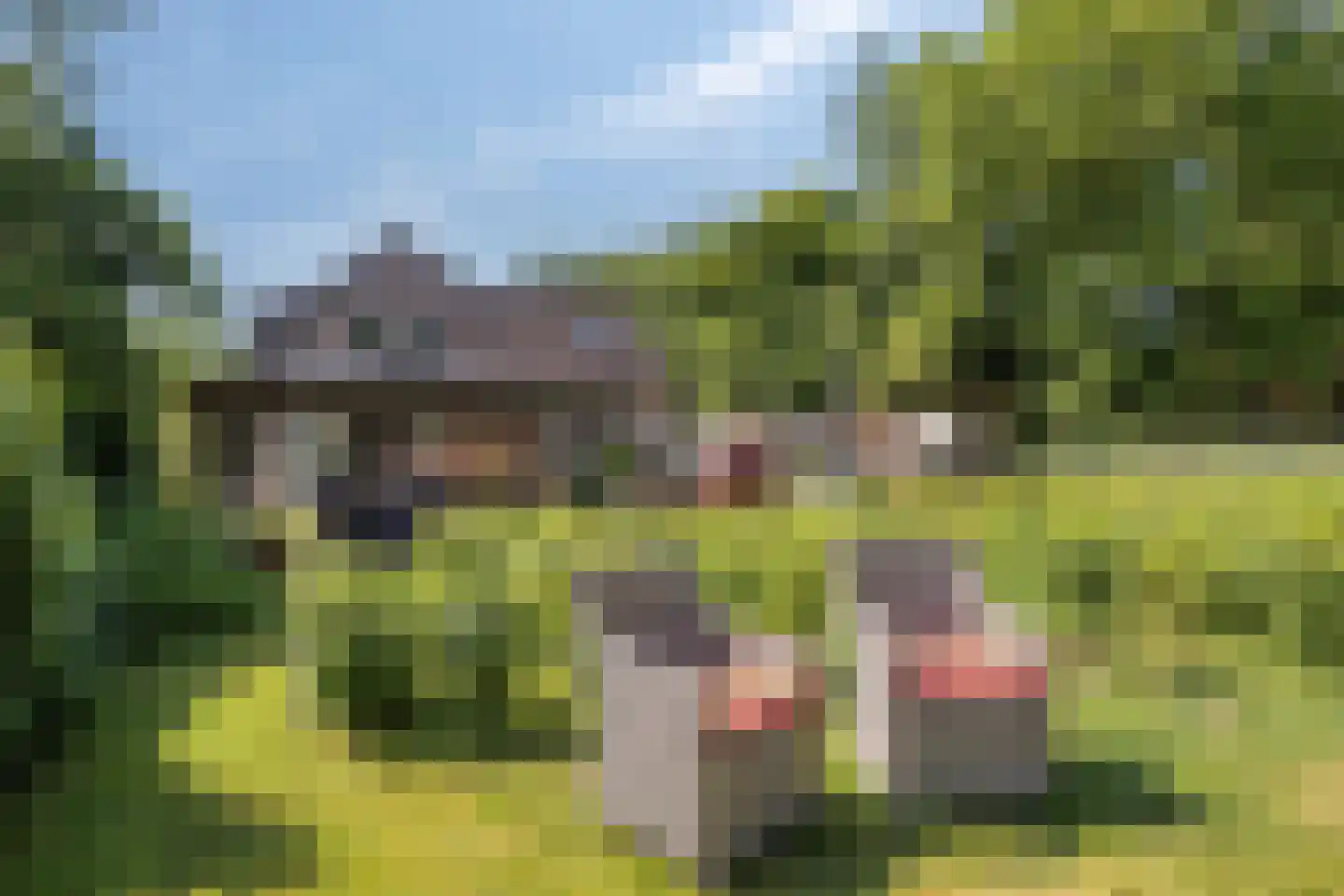 Knapheidepad 2 c Groesbeek thumbnail 60
