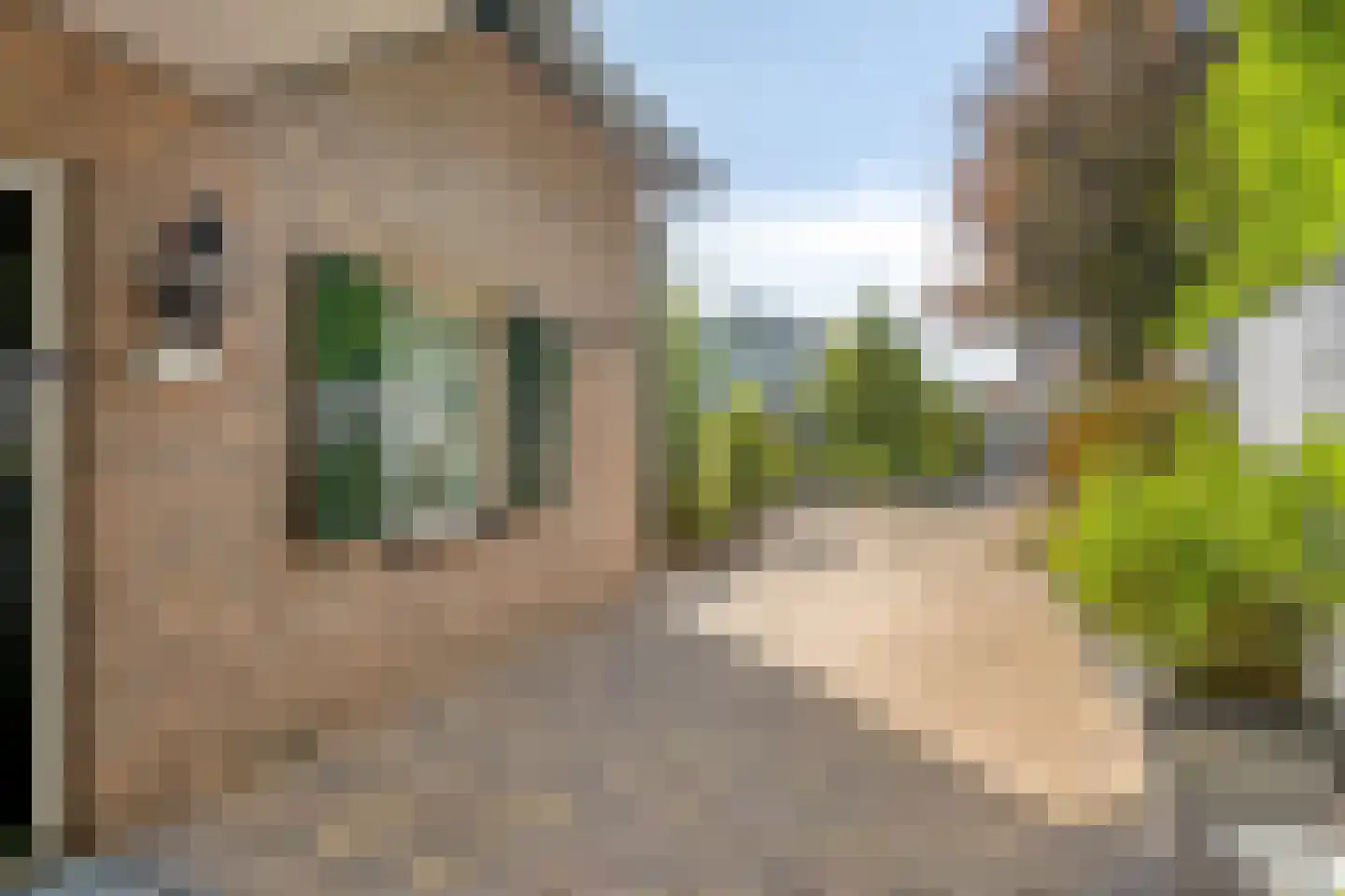Knapheidepad 2 c Groesbeek thumbnail 62