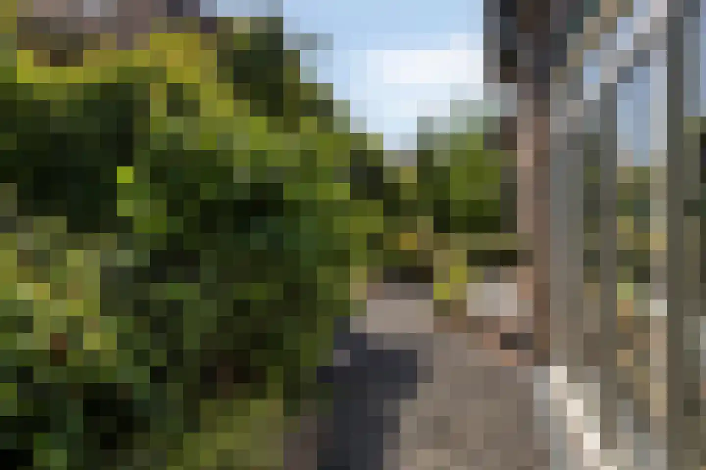 Knapheidepad 2 c Groesbeek thumbnail 66