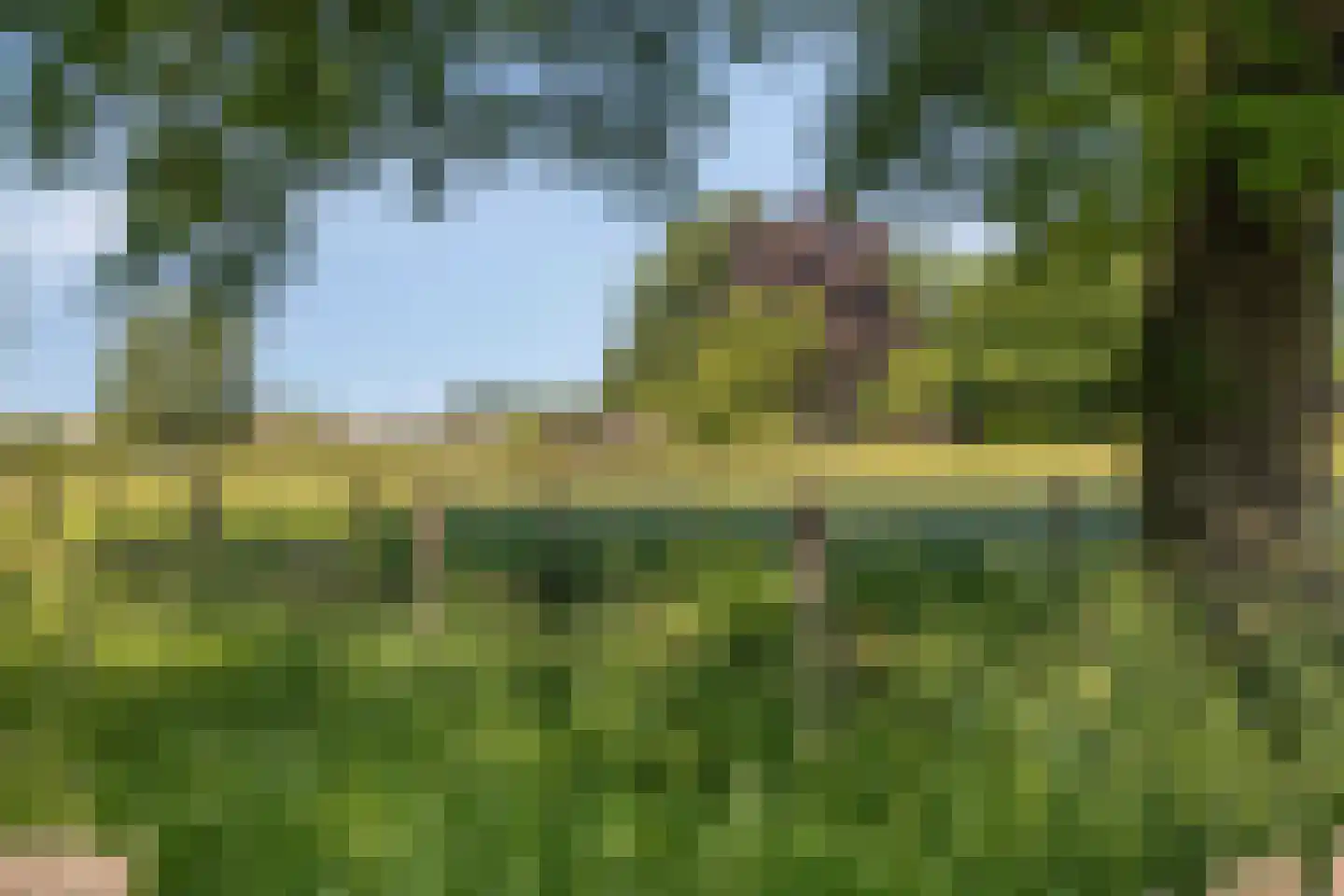Knapheidepad 2 c Groesbeek thumbnail 69