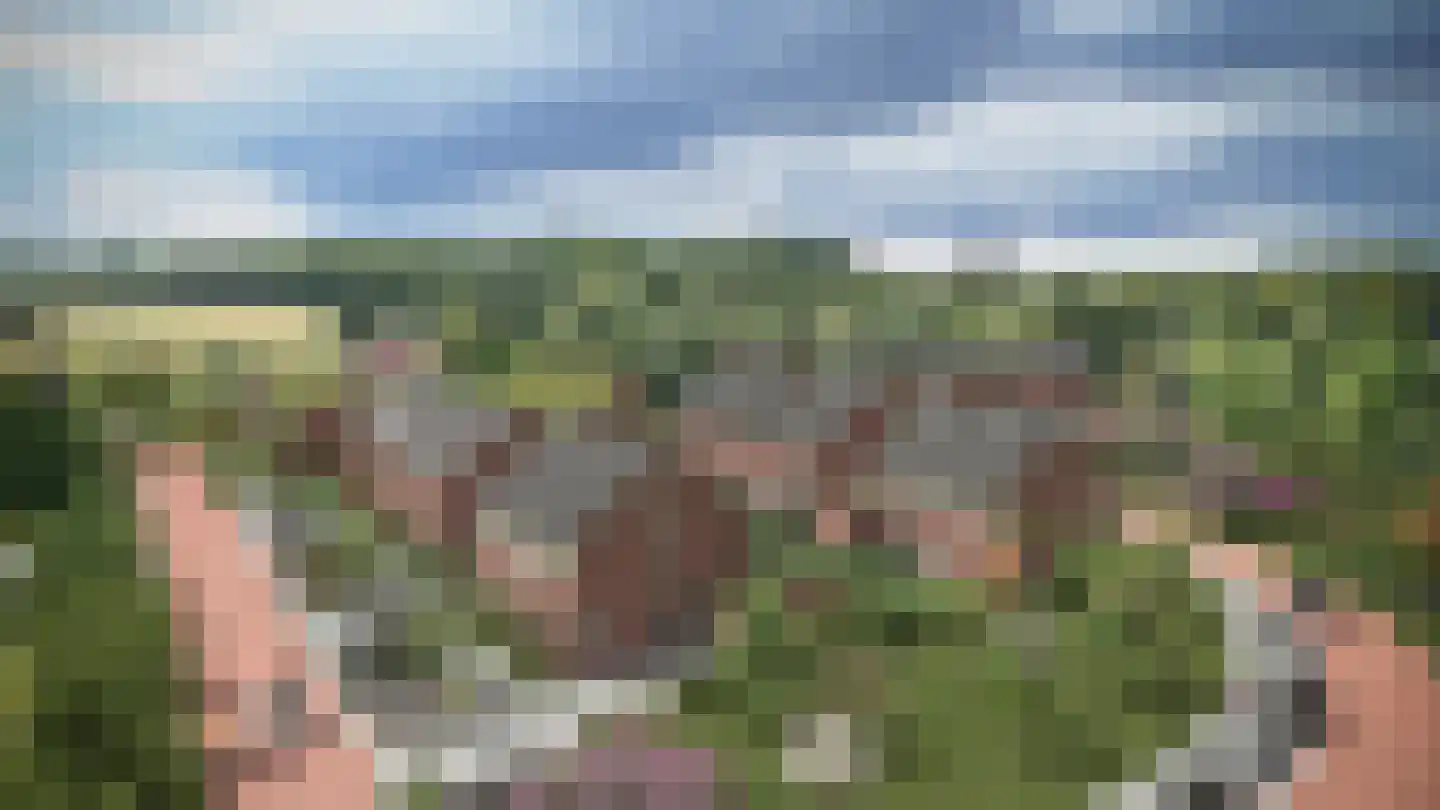 Knapheideweg 25 Groesbeek thumbnail 6