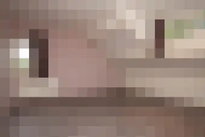 Knapzaksteeg 38 Putten thumbnail 14