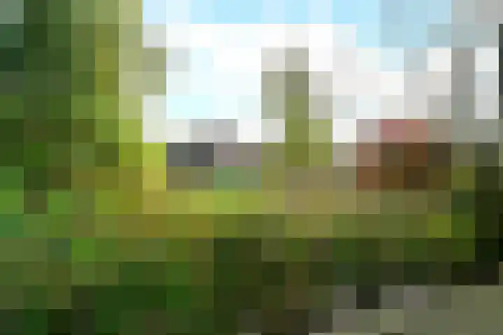 Knapzaksteeg 38 Putten thumbnail 20