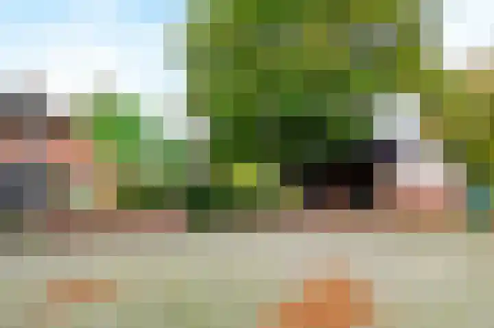 Knapzaksteeg 38 Putten thumbnail 22