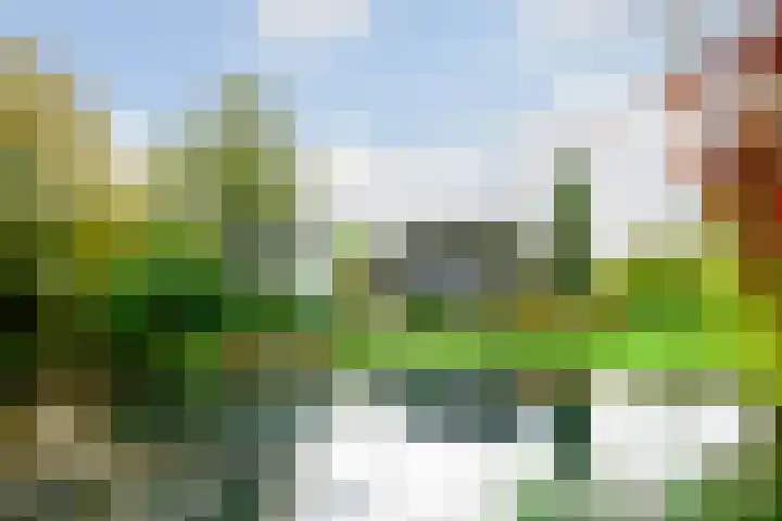 Knapzaksteeg 38 Putten thumbnail 31