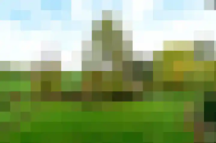 Knapzaksteeg 38 Putten thumbnail 32