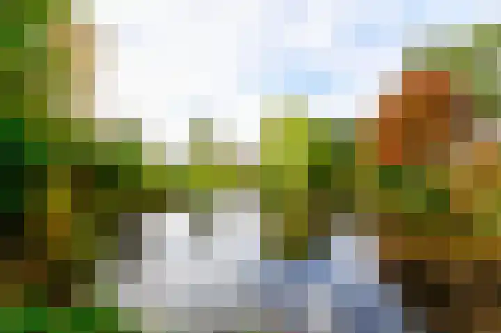 Knapzaksteeg 38 Putten thumbnail 33