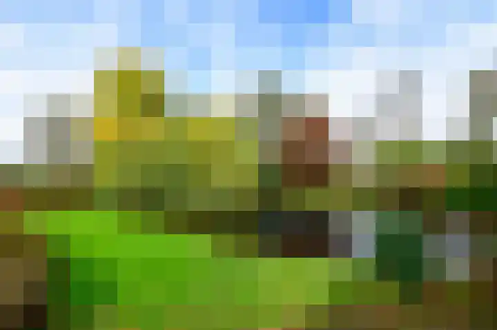 Knapzaksteeg 38 Putten thumbnail 34
