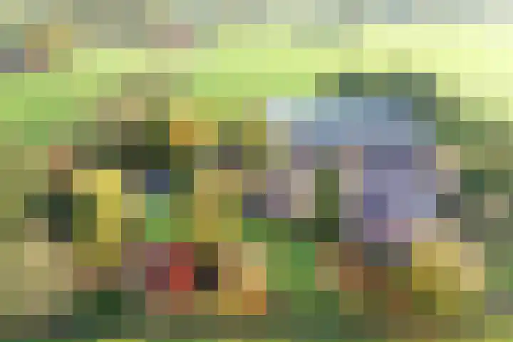 Knapzaksteeg 38 Putten thumbnail 49