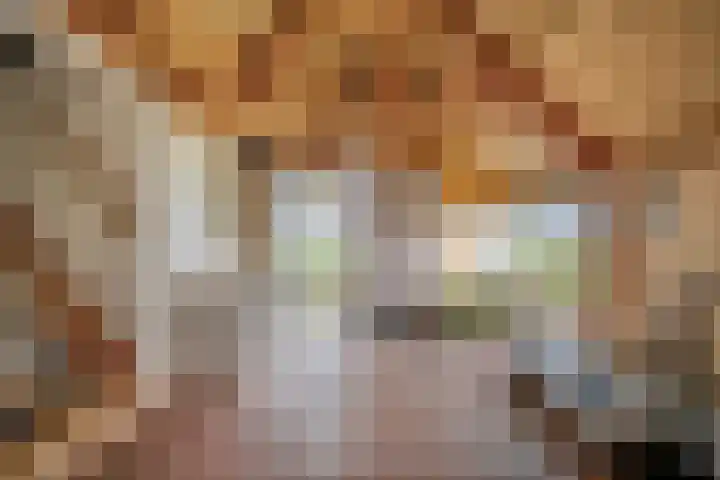 Kneeskade 5 Anna Paulowna thumbnail 11
