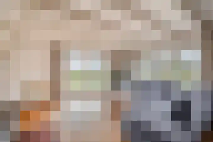 Kneeskade 5 Anna Paulowna thumbnail 13