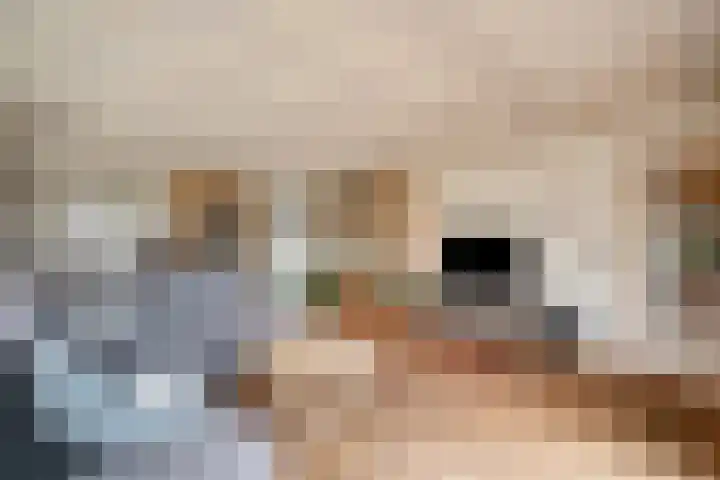 Kneeskade 5 Anna Paulowna thumbnail 14