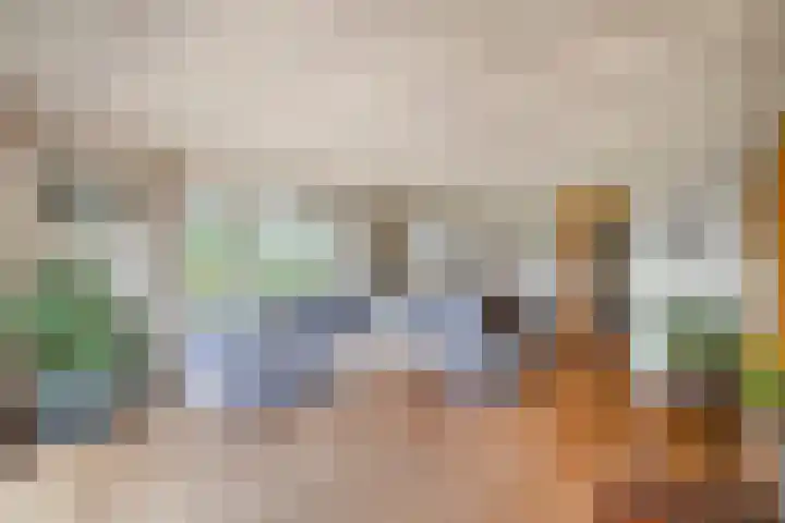 Kneeskade 5 Anna Paulowna thumbnail 15