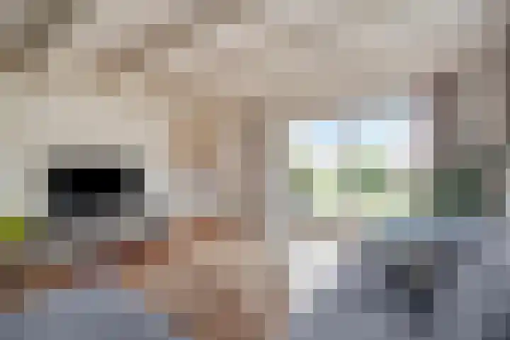 Kneeskade 5 Anna Paulowna thumbnail 16