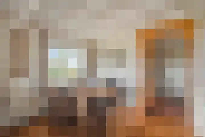 Kneeskade 5 Anna Paulowna thumbnail 17