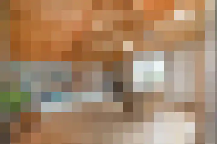 Kneeskade 5 Anna Paulowna thumbnail 19