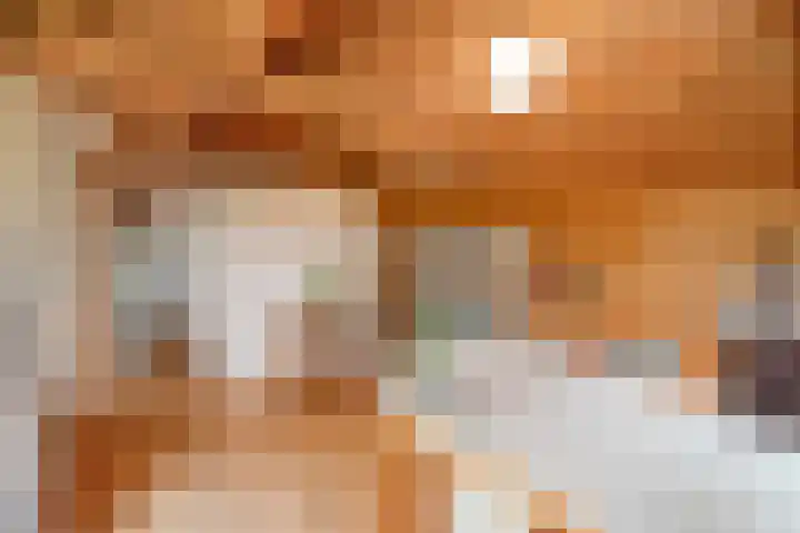 Kneeskade 5 Anna Paulowna thumbnail 22