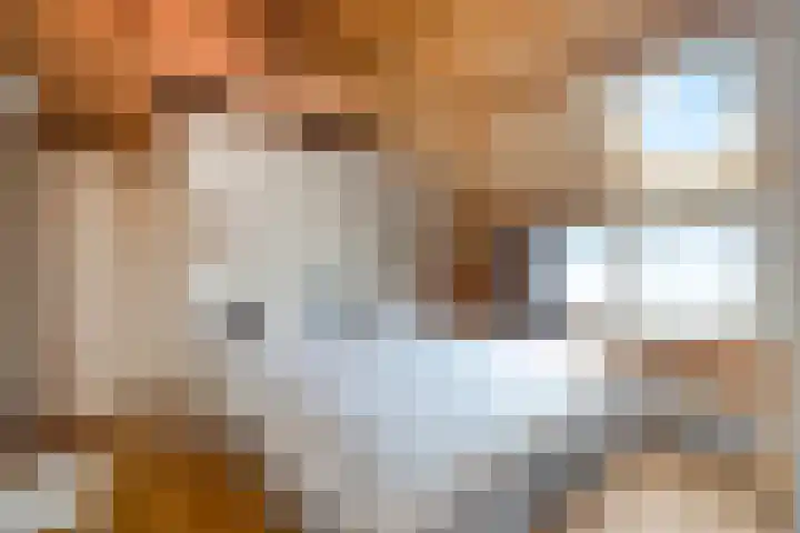 Kneeskade 5 Anna Paulowna thumbnail 23