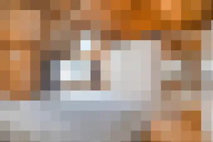 Kneeskade 5 Anna Paulowna thumbnail 24
