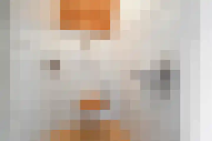 Kneeskade 5 Anna Paulowna thumbnail 25