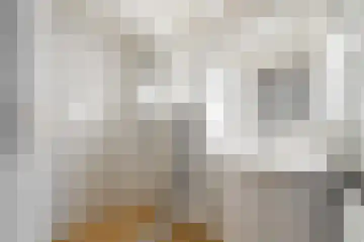 Kneeskade 5 Anna Paulowna thumbnail 26
