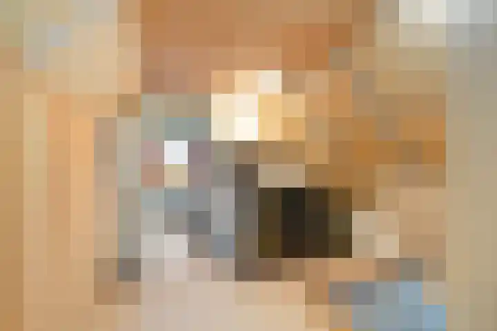 Kneeskade 5 Anna Paulowna thumbnail 32