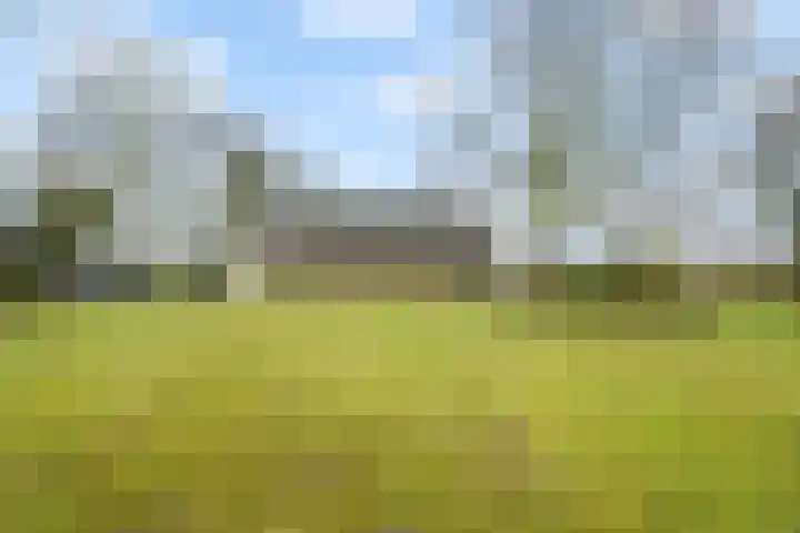 Kneeskade 5 Anna Paulowna thumbnail 39