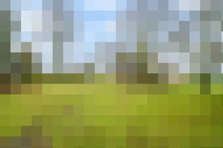 Kneeskade 5 Anna Paulowna thumbnail 4