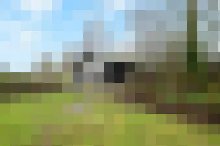 Kneeskade 5 Anna Paulowna thumbnail 40
