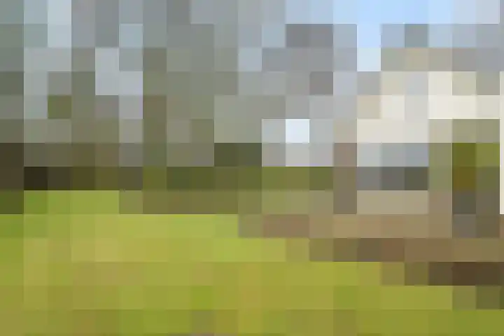 Kneeskade 5 Anna Paulowna thumbnail 42