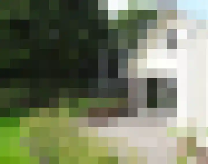 Kneeskade 5 Anna Paulowna thumbnail 48