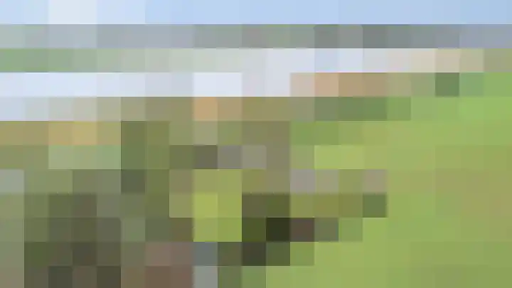 Kneeskade 5 Anna Paulowna thumbnail 5