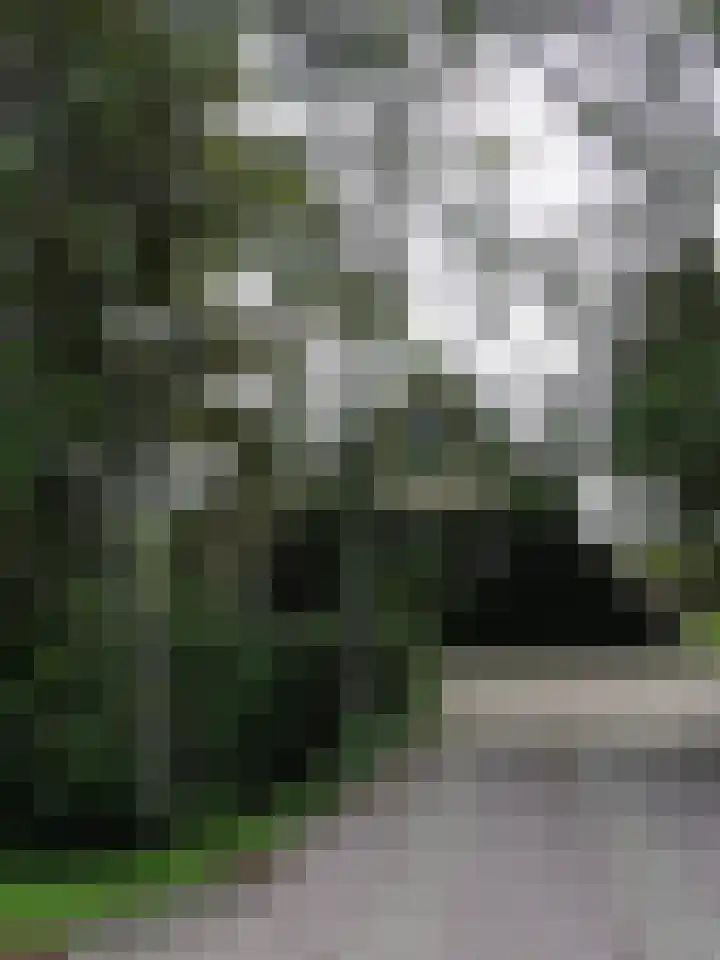 Kneeskade 5 Anna Paulowna thumbnail 50