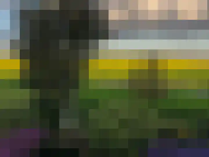 Kneeskade 5 Anna Paulowna thumbnail 51