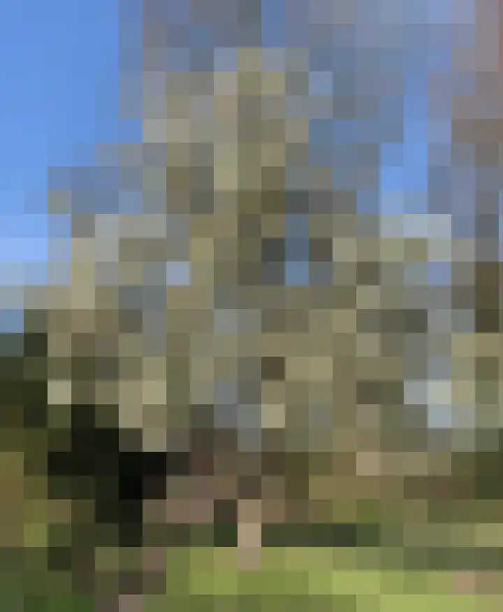 Kneeskade 5 Anna Paulowna thumbnail 52