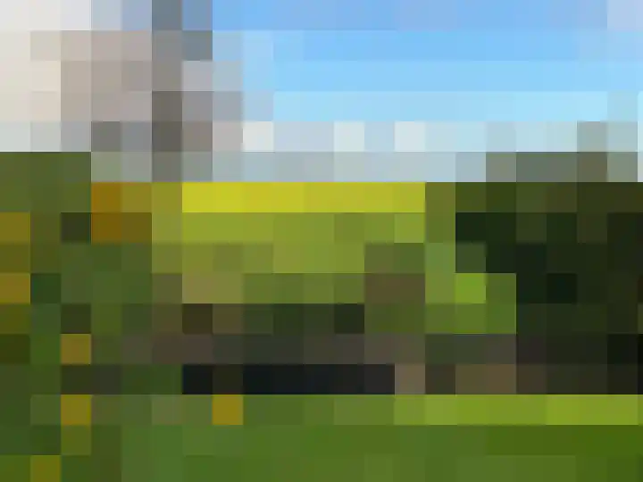 Kneeskade 5 Anna Paulowna thumbnail 55