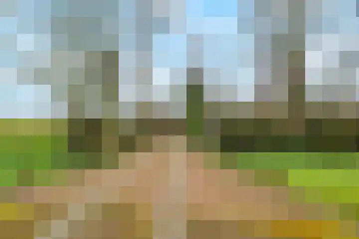 Kneeskade 5 Anna Paulowna thumbnail 7